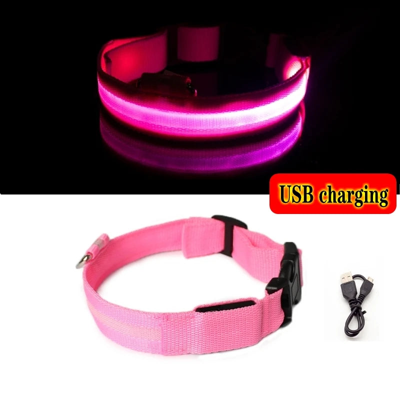 GlowGuard™ LED Safety Dog Collar