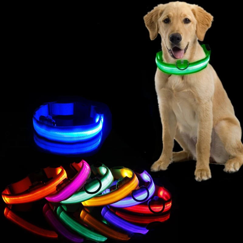 GlowGuard™ LED Safety Dog Collar