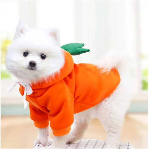 CarrotPup™ Cozy Costume Hoodie