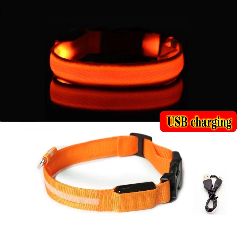 GlowGuard™ LED Safety Dog Collar