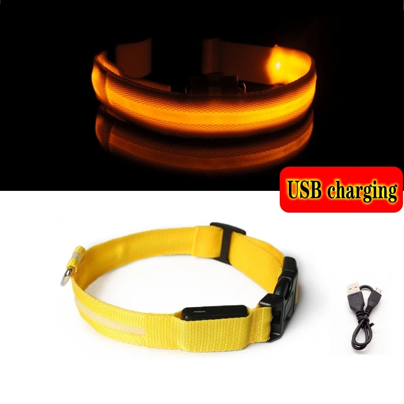 GlowGuard™ LED Safety Dog Collar