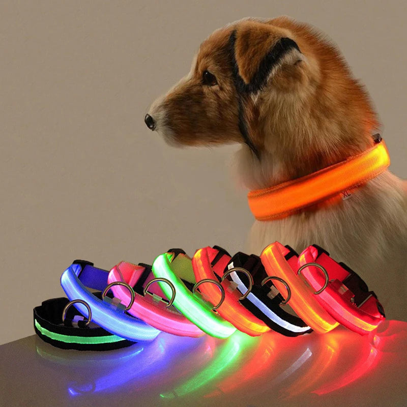 GlowGuard™ LED Safety Dog Collar