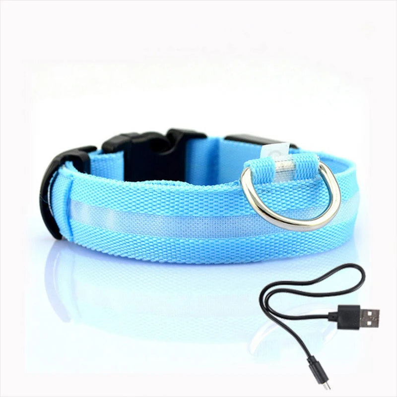 GlowGuard™ LED Safety Dog Collar