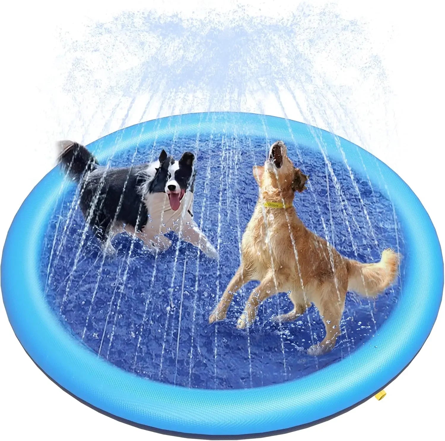 SplashPaws™ Dog Sprinkler Pad