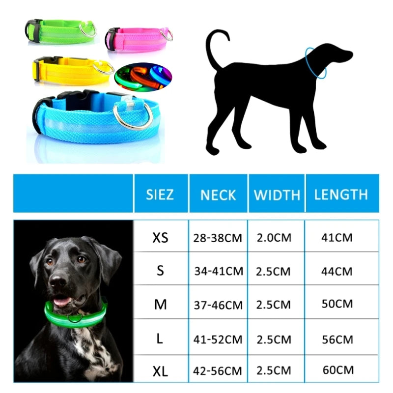 GlowGuard™ LED Safety Dog Collar