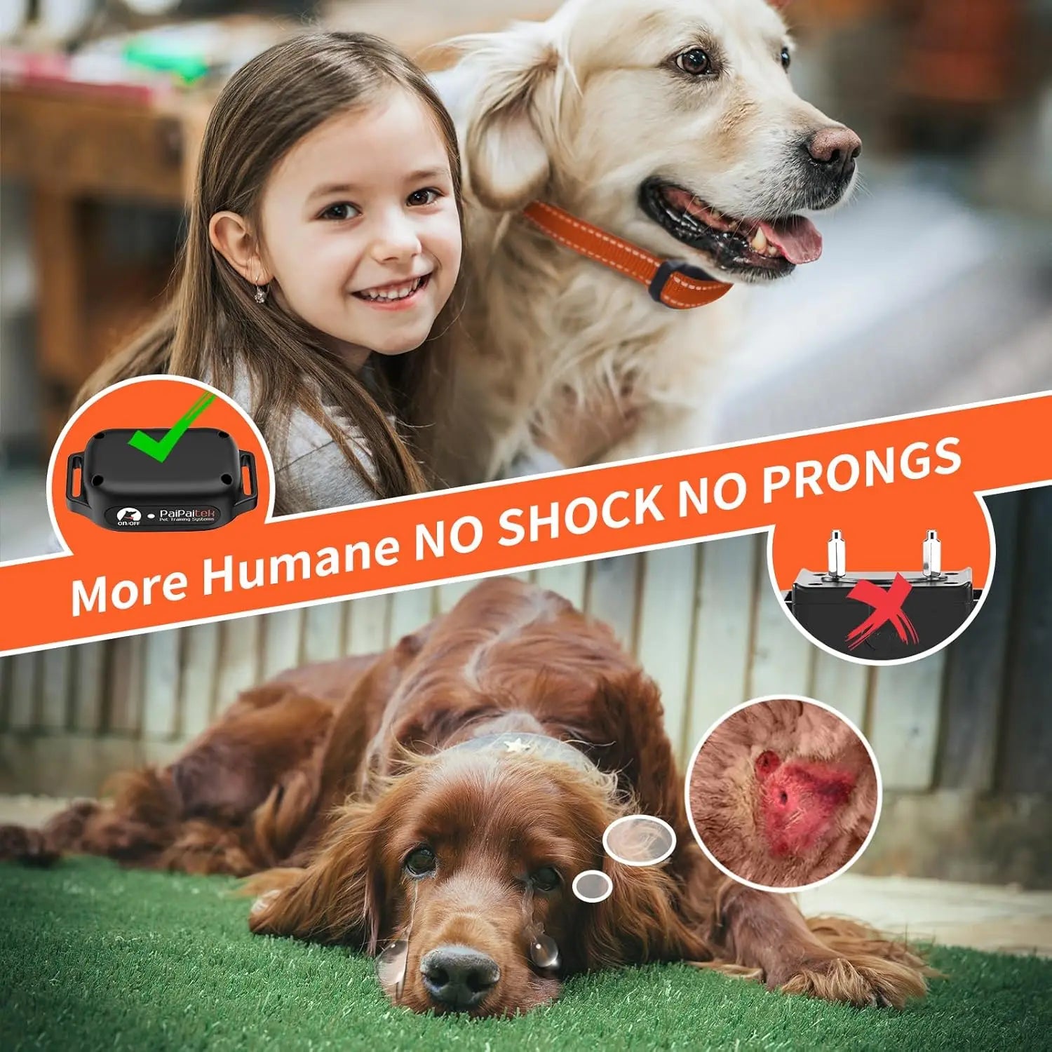 GentleGuide™ No‑Shock Training Collar