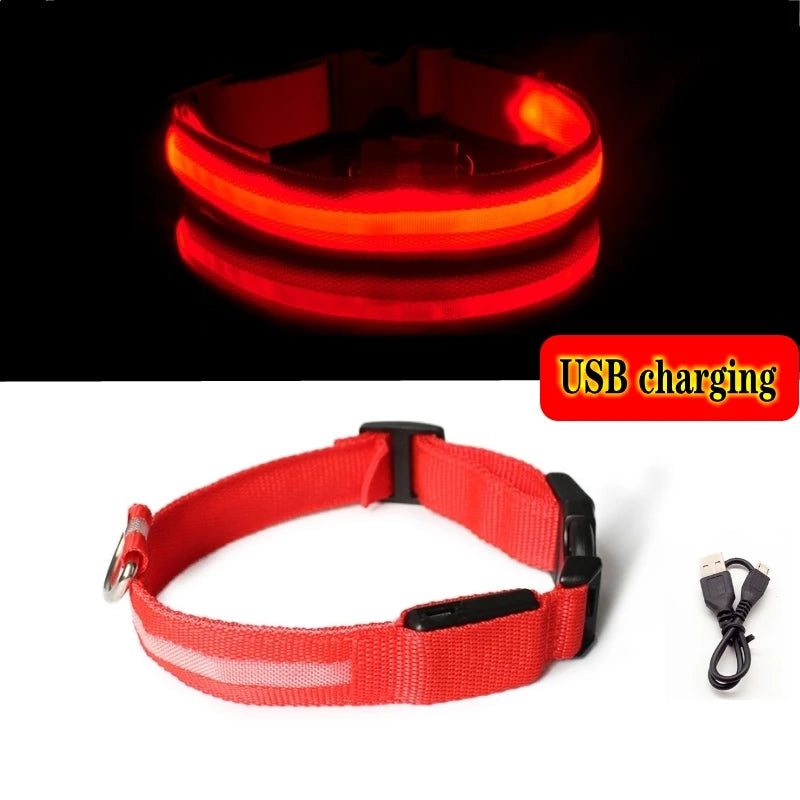 GlowGuard™ LED Safety Dog Collar