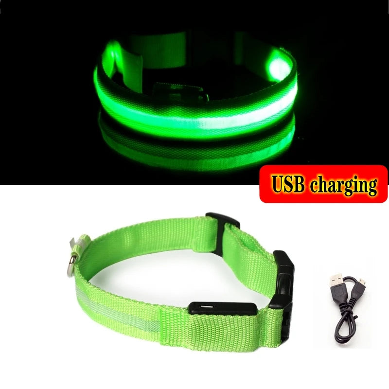 GlowGuard™ LED Safety Dog Collar