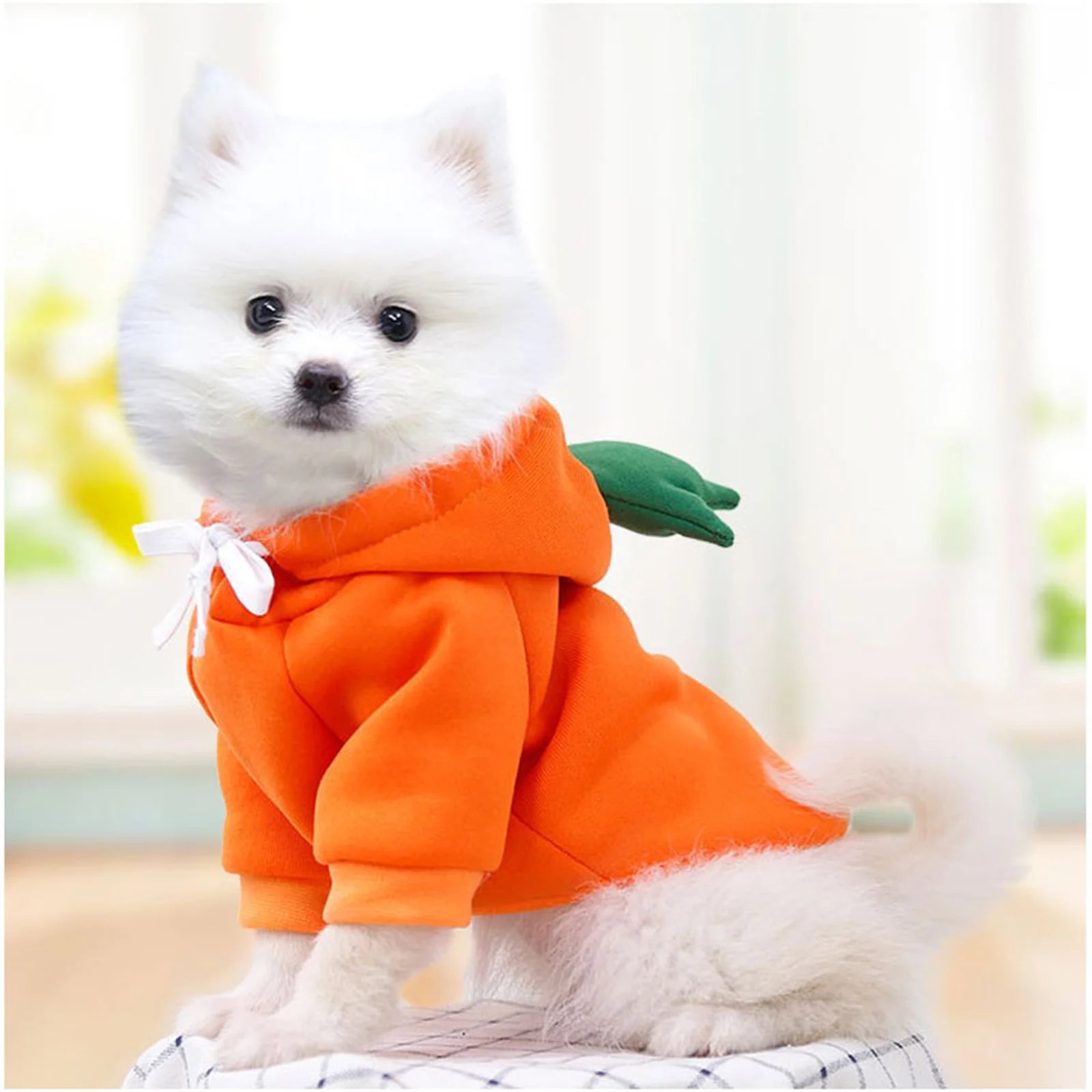 CarrotPup™ Cozy Costume Hoodie