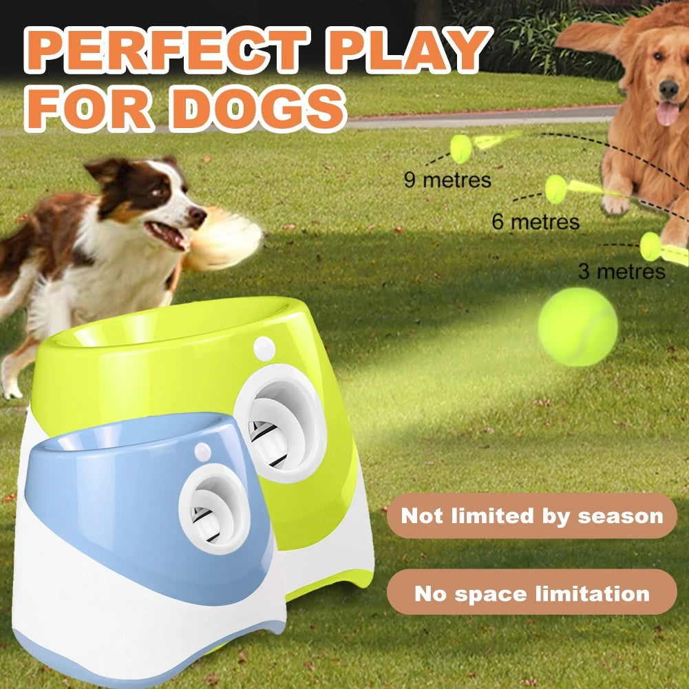 PawPrime™ Deluxe Dog Essentials Bundle