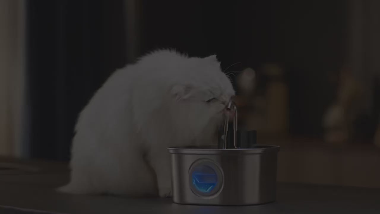 The HydraPure™ Stainless Smart Fountain