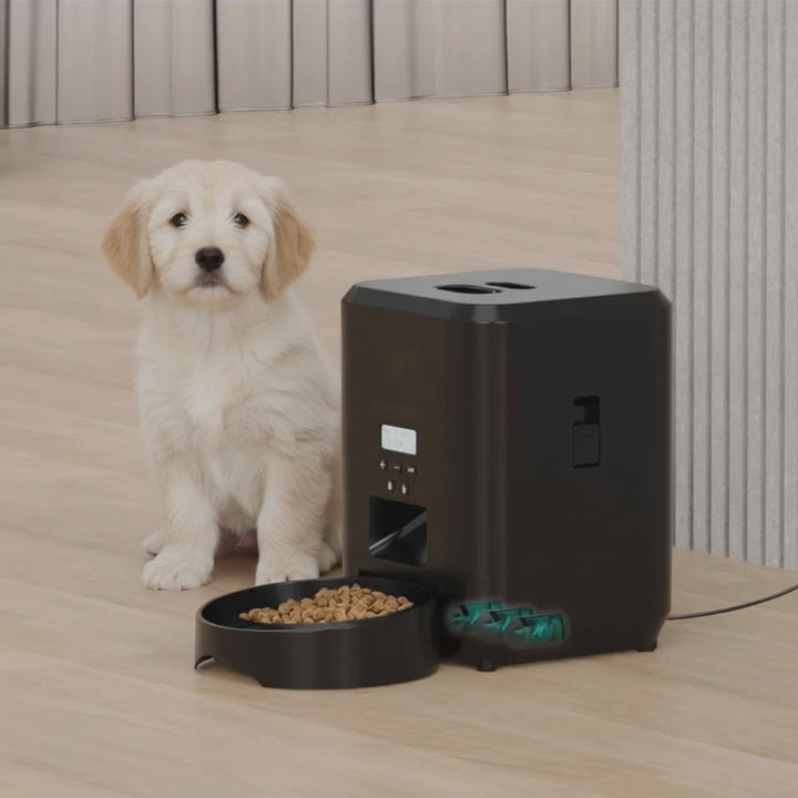 SmartFeast WiFi Pet Feeder