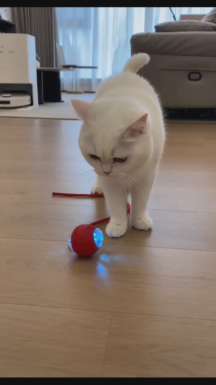 AuraBall Interactive